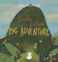 Cover image for Little Lily's Big Adventure