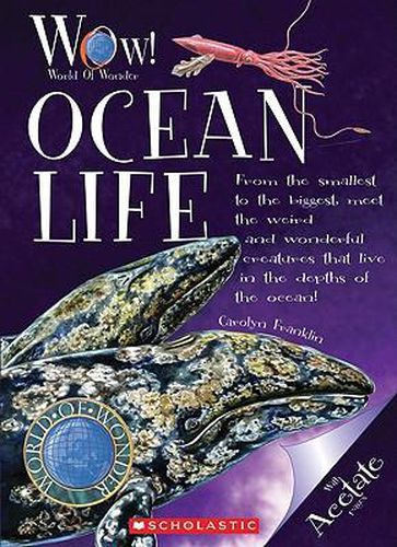 Cover image for Ocean Life