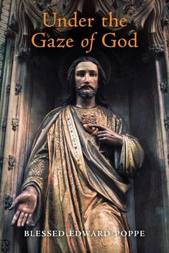 Cover image for Under the Gaze of God