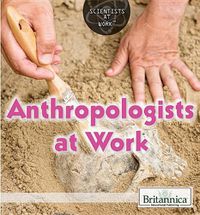 Cover image for Anthropologists at Work