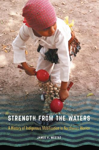 Cover image for Strength from the Waters: A History of Indigenous Mobilization in Northwest Mexico