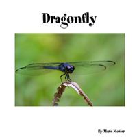 Cover image for Dragonfly