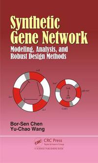 Cover image for Synthetic Gene Network: Modeling, Analysis and Robust Design Methods