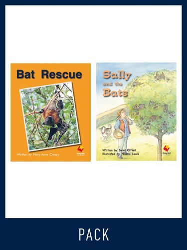 Cover image for Flying Start Guided Reading Pack Level 9, Pack 3: Paired student books (6x6) and lesson plan (1)