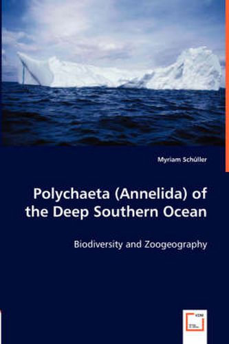 Cover image for Polychaeta (Annelida) of the Deep Southern Ocean
