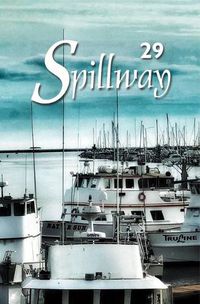Cover image for Spillway 29