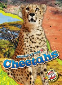 Cover image for Cheetahs