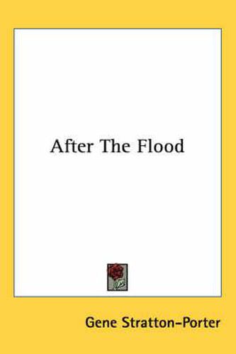 Cover image for After the Flood