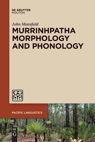 Cover image for Murrinhpatha Morphology and Phonology