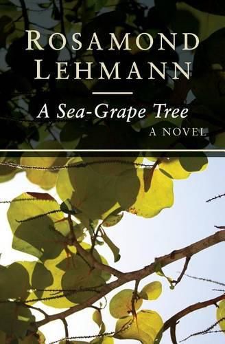 A Sea-Grape Tree