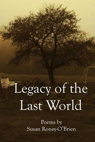 Cover image for Legacy of the Last World