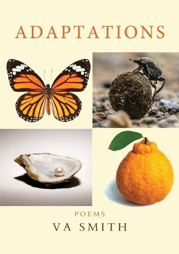 Cover image for Adaptations