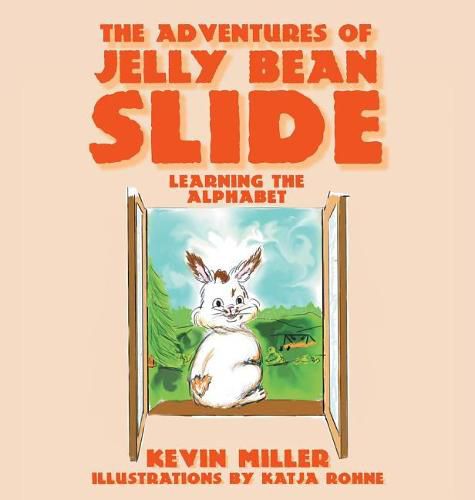 Cover image for The Adventures of Jelly Bean Slide