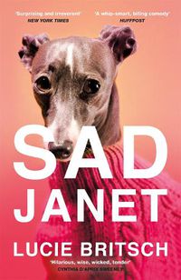 Cover image for Sad Janet: 'A whip-smart, biting tragicomedy' HuffPost