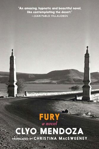 Cover image for Fury