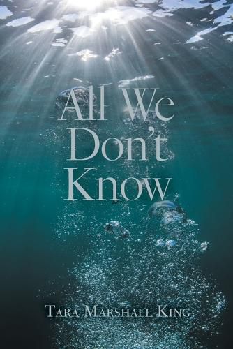 Cover image for All We Don't Know