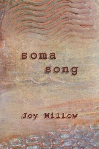 Cover image for Soma Song