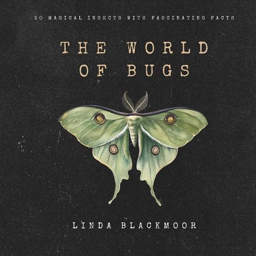 Cover image for The World of Bugs