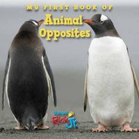 Cover image for My First Book of Animal Opposites (National Wildlife Federation)