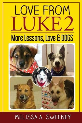 Cover image for Love from Luke 2: More Lessons, Love & Dogs