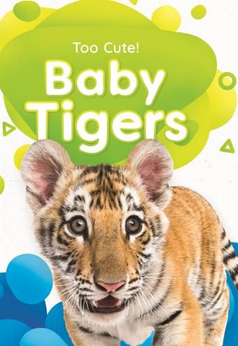 Cover image for Baby Tigers