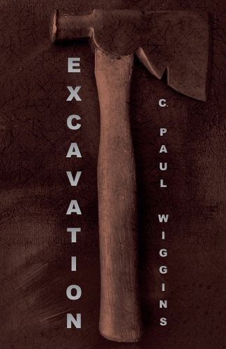 Cover image for Excavation