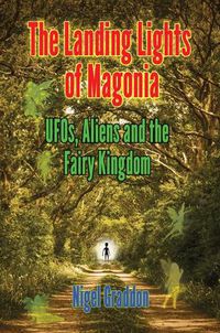 Cover image for The Landing Lights of Magonia: Ufos, Aliens and the Fairy Kingdom