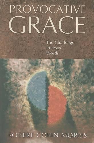 Cover image for Provocative Grace