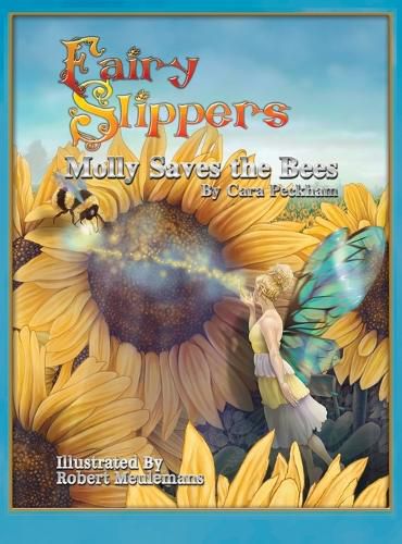 Cover image for Fairy Slippers