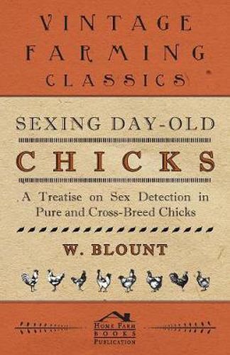 Cover image for Sexing Day-Old Chicks - A Treatise On Sex Detection In Pure And Cross-Breed Chicks