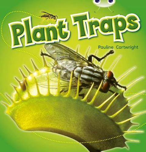 Cover image for Bug Club Non-fiction Blue (KS1) B/1B Plant Traps 6-pack