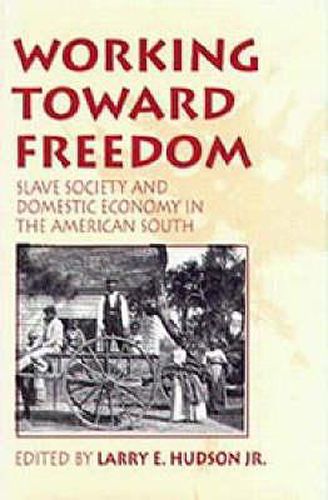 Cover image for Working Toward Freedom: Slave Society and Domestic Economy in the American South