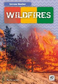 Cover image for Wildfires