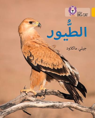 Cover image for Birds: Level 9