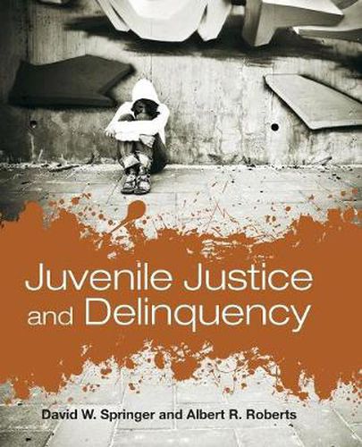 Cover image for Juvenile Justice And Delinquency