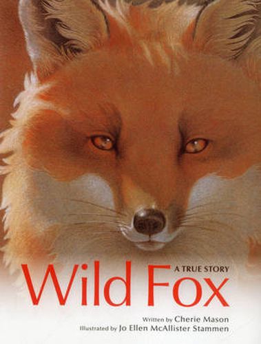 Cover image for Wild Fox: A True Story