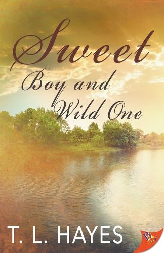 Cover image for Sweet Boy and Wild One