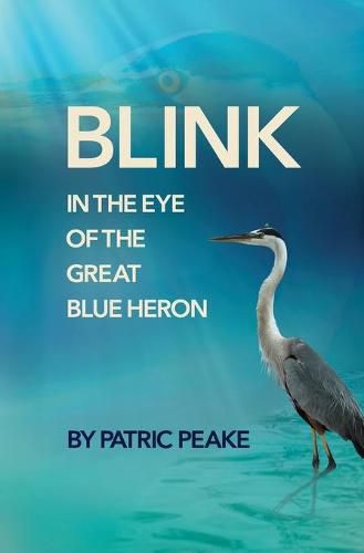 Cover image for Blink in the Eye of the Great Blue Heron: A Educator's Journey of Discovery