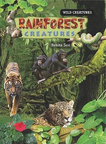 Cover image for Rainforest Creatures