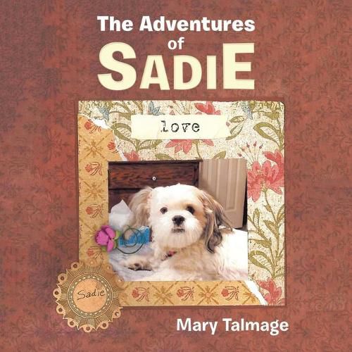 Cover image for The Adventures of Sadie