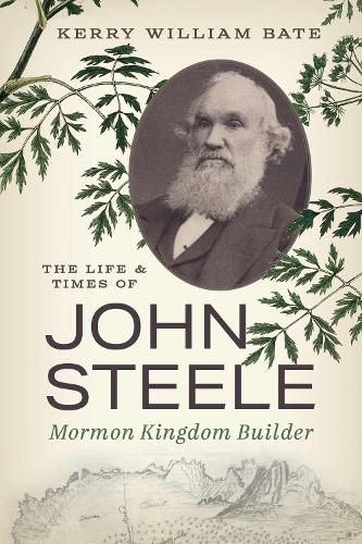 Cover image for The Life and Times of John Steele