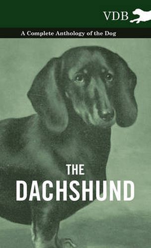 Cover image for The Dachshund - A Complete Anthology of the Dog -