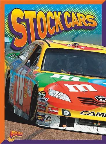 Cover image for Stock Cars