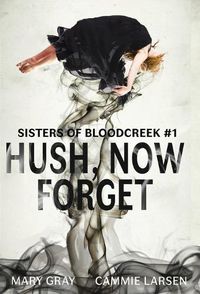 Cover image for Hush, Now Forget