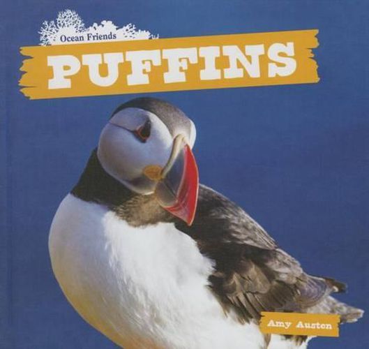 Cover image for Puffins