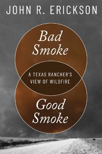 Cover image for Bad Smoke, Good Smoke