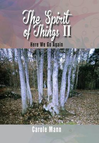 Cover image for The Spirit of Things II: Here We Go Again