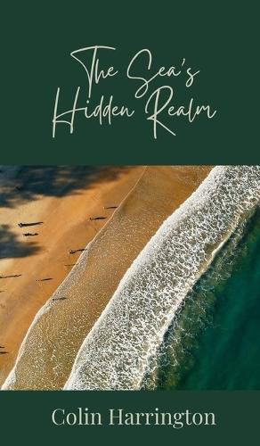 Cover image for The Sea's Hidden Realm