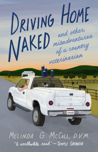 Cover image for Driving Home Naked