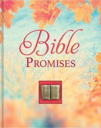 Cover image for Bible Promises